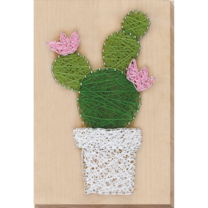 Puede incluir: Un cactus verde de arte de hilo con flores rosas en una maceta blanca sobre un fondo de madera.