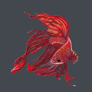 May include: A red betta fish made of beads. The fish is in a curled position with its fins spread out. The beads are arranged in a pattern that creates the appearance of scales and fins.