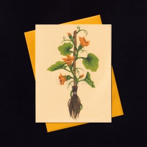 Pumpkin Vine Broomstick Note Card - A2 - Blank Inside - Single, Set of 3, or Set of 6 - Witchy Floral Stationery