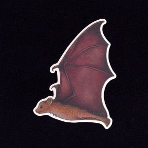 Flying Fox Bat Die-Cut Sticker - 4 Inch - Weatherproof Matte Paper Sticker - Cute Gothic Decal