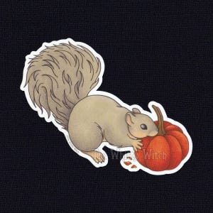 Squirrel Eating Pumpkin Die-Cut Sticker - 3 Inch - Weatherproof Matte Paper Sticker - Cute Halloween Laptop Decal