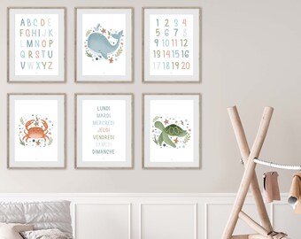 Set of 6 marine animal posters, set of sea-themed posters, educational posters, children's posters, children's room decoration