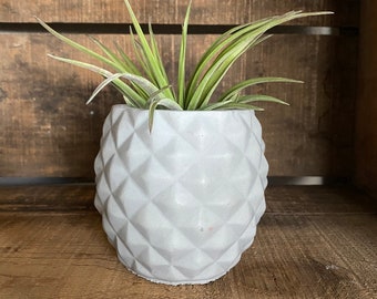 Pineapple Concrete Planter, Air Plant Holder, Succulent Pot, Cactus Planter, Cement Pot, Unique Gift, Modern Decor, Housewarming Gift