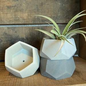 May include: Three geometric concrete planters in shades of gray and off-white. One planter is empty, while another holds a green plant with long, slender leaves. The planters are stacked on a wooden shelf.