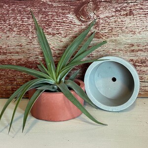 Modern Round Cement Succulent Pot, Air Plant Pot, Small Concrete Planter Pot, Modern Succulent Cactus Planter, Minimalist Shower Favor Decor