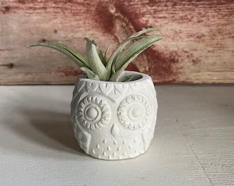 Concrete Owl Planter, Cement Succulent Planter Pot, Air Plant Holder, Handmade Friend Gift for Plant Lover, Modern Farmhouse Decor