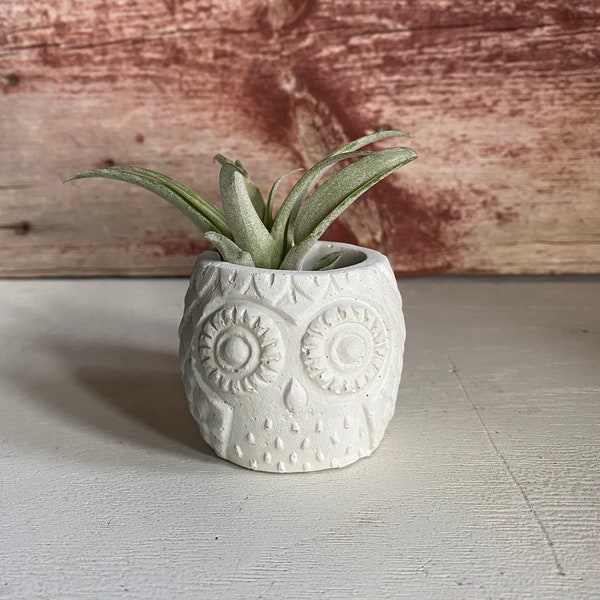 Concrete Owl Planter, Cement Succulent Planter Pot, Air Plant Holder, Handmade Friend Gift for Plant Lover, Modern Farmhouse Decor