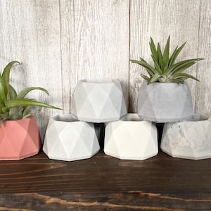 Small Geometric Concrete Succulent Pot, Air Plant Display, Succulent Planter, Cactus Planter, Modern Minimalist Wedding Shower Favor Decor