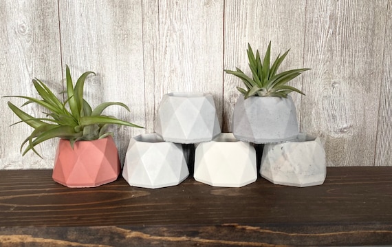 Small Geometric Concrete Succulent Pot, Air Plant Display, Succulent Planter, Cactus Planter, Modern Minimalist Wedding Shower Favor Decor