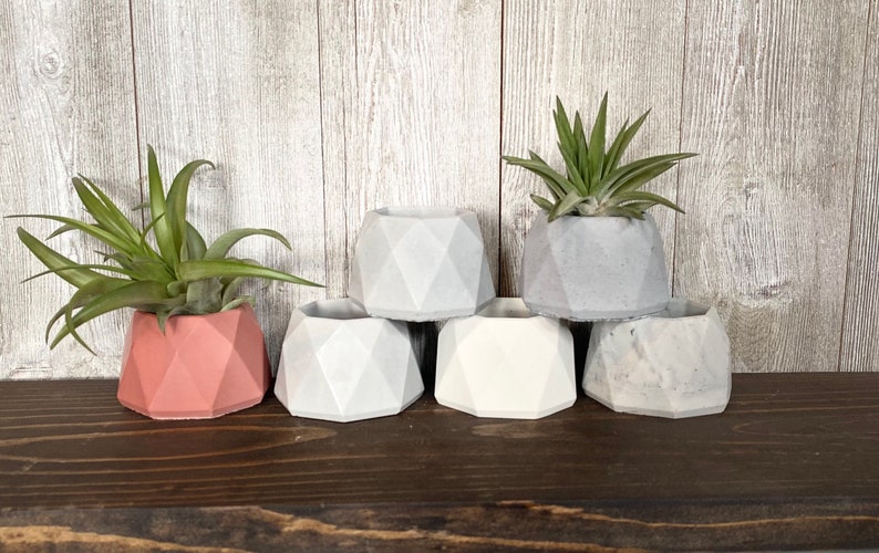 May include: Six geometric concrete planters in various shades of gray, white, and pink. Two of the planters are filled with green air plants.