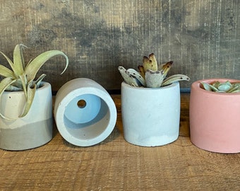 Cylinder Concrete Succulent Pot, Air Plant Holder, Small Geometric Cement Planter, Cactus Planter, Unique Gift, Modern Decor