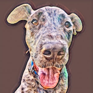 Custom Dog Portraits Pet illustrations Digital Pet Art Made with Your Pet Photos Ready to Print
