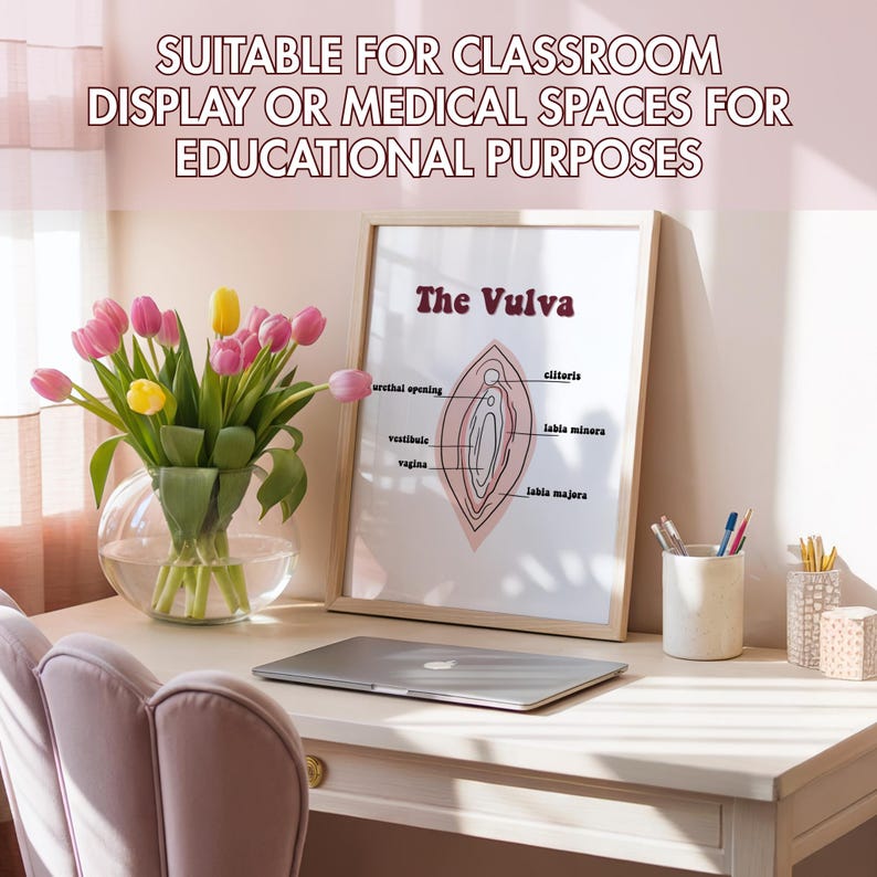 Labelled Vulva Illustration Anatomy printable Educational Diagram 