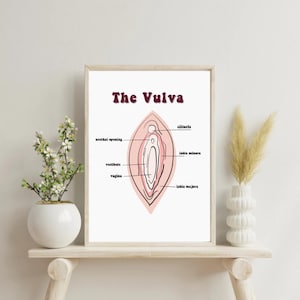 Vulva Anatomy Print Illustration Educational Bathroom Wall Art Yoni Women’s Health Birth Poster Puberty Education Body Positive Home Decor