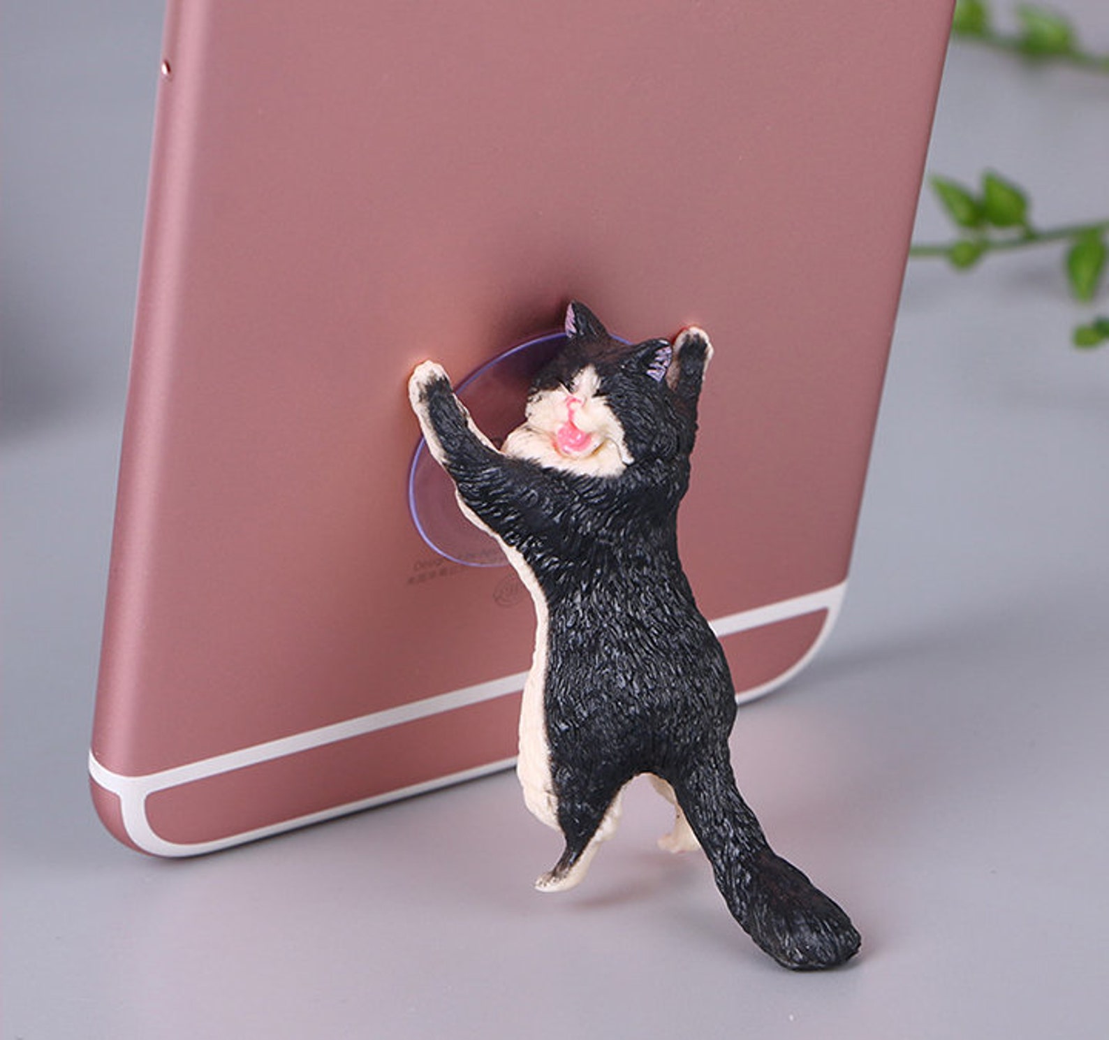 2/3/6 pack Phone Holder Cute Resin Cat Phone Holder Cell Etsy