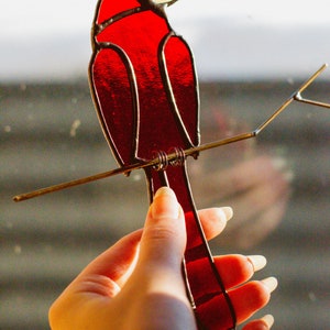 Op de afbeelding: Een gebrandschilderd kardinaal met een rood lichaam en een gele snavel, gepercht op een draadtak. De kardinaal wordt in een hand gehouden.