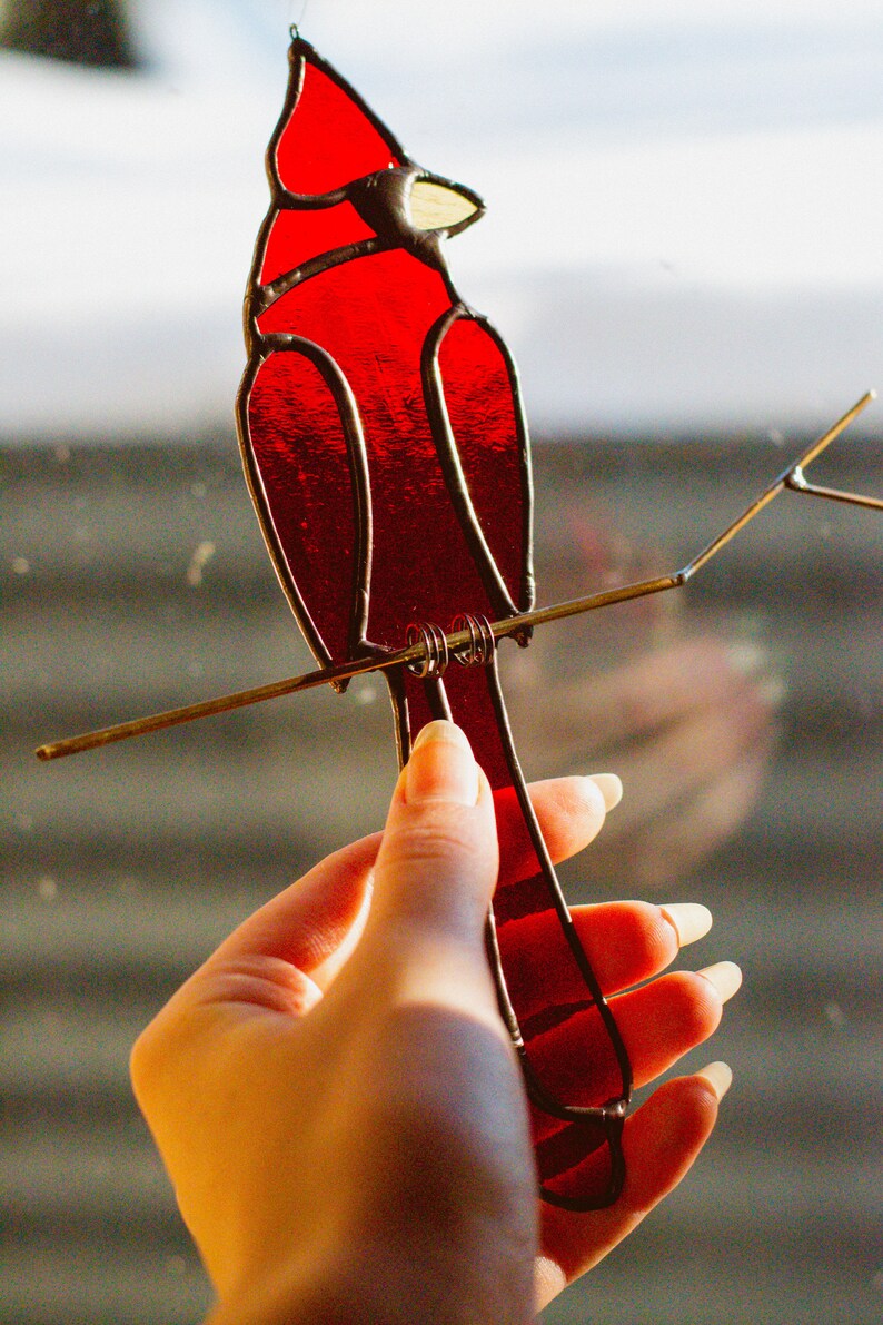Op de afbeelding: Een gebrandschilderd kardinaal met een rood lichaam en een gele snavel, gepercht op een draadtak. De kardinaal wordt in een hand gehouden.