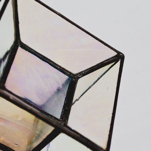 K&ouml;nnte beinhalten: Ein klares Glas-Kubus-Terrarium mit schwarzem Metallrahmen. Das Glas hat einen irisierenden Schimmer.