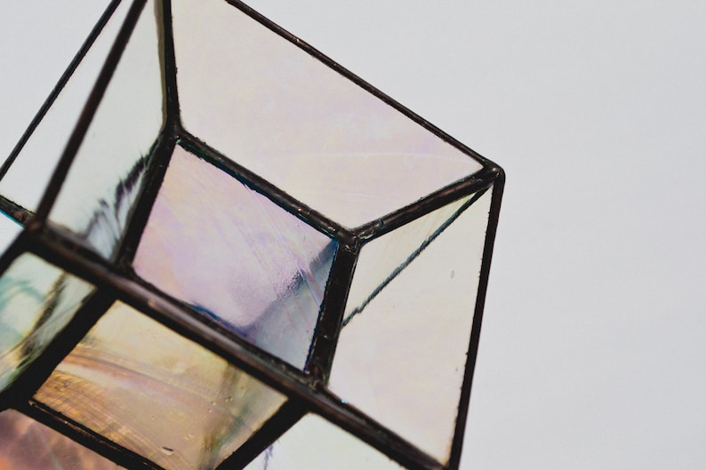 K&ouml;nnte beinhalten: Ein klares Glas-Kubus-Terrarium mit schwarzem Metallrahmen. Das Glas hat einen irisierenden Schimmer.