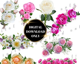 26 Individual Rose real Image clip art for scrapbooking/ Rose flower clip art for wedding invitations, card making, Birthday cards Borders