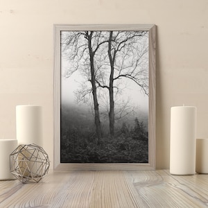 Könnte beinhalten: Schwarzweißfotografie von zwei Bäumen in einem nebligen Wald, gerahmt in einem hellen Holzrahmen. Das Foto wird auf einer Holzoberfläche mit drei weißen Kerzen und einer dekorativen Metallkugel präsentiert.