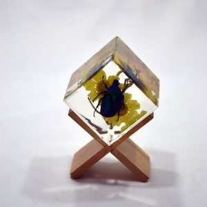 2&quot; Green Rose Chafer Beetle Cube Decoration