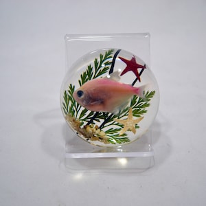 2.5&quot; Fish Bowl Half Globe Paperweight