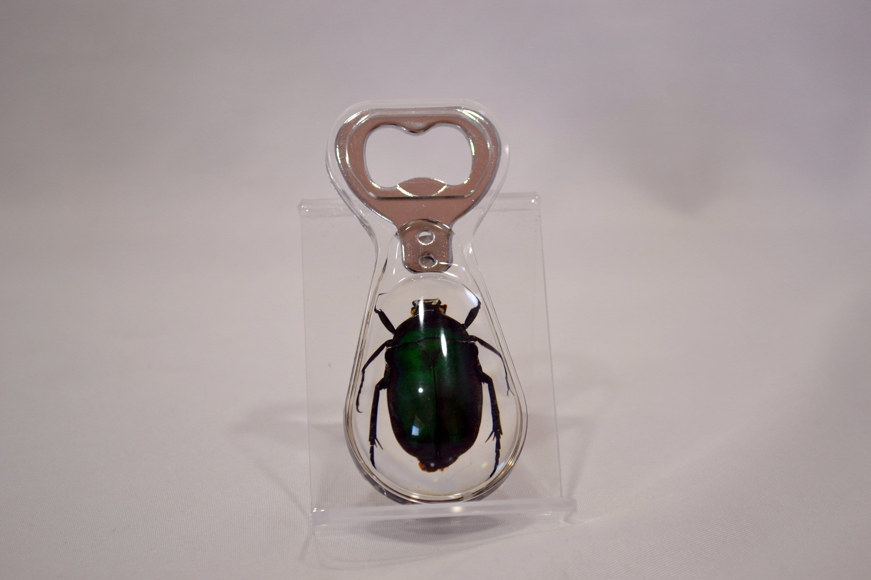 Resin-encased Green Rose Chafer Beetle Bottle Opener