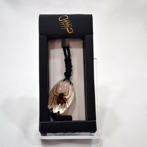 Spiny Spider Bracelet