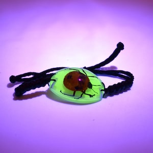 Glow-in-the-dark Flower Bug Bracelet - Real Insect Jewelry encased in Resin