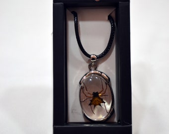 Spiny Spider Necklace