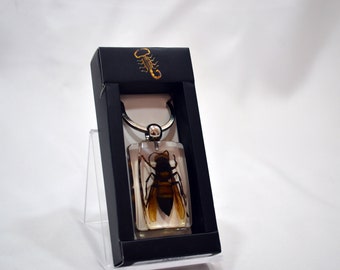 1.8" Unique and Rare Resin-encased Asian giant hornet (Vespa mandarinia) Keychain