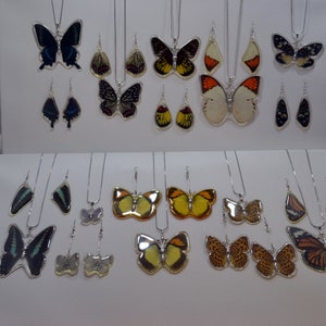 Preserved Butterfly Jewelry