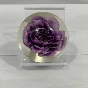 Purple Carnation Globe