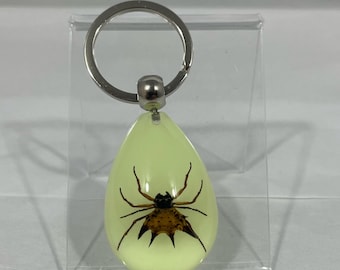 1.8" Spiny Spider Glow-in-the-dark Keychain