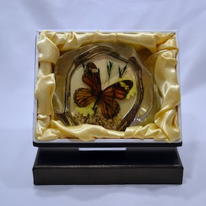 4.5&quot; Organic Shape Tiger Butterfly Decoration