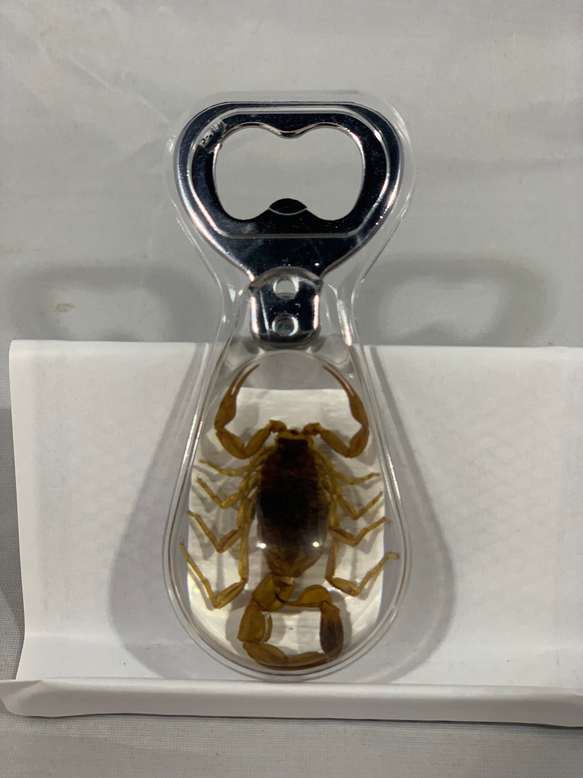 Scorpion - Bottle Opener Scorpion - Bottle Opener