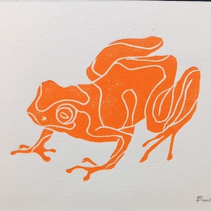 Linogravure Grenouille orange  - impression d'art originale, nature art mural, édition limitée, planches zoologiques, décor écologique