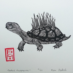 May include: Black and white linocut print of a turtle with a spiky shell. The print is titled "Tortue Sauvage" and is numbered 1/50. The artist's signature, "Eve Hedtred", is in the bottom right corner.