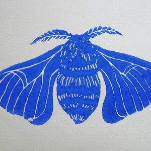Linogravure Papillon de nuit, impression d'art originale, bloc de linoléum imprimé à la main, illustration d'insectes, art de la nature