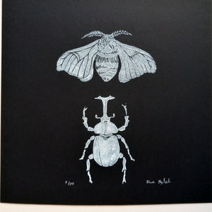 Linocut Insects - original art print, cabinet of curiosities, entomology illustration, limited edition art minimalist, Victorian Gothic Art
