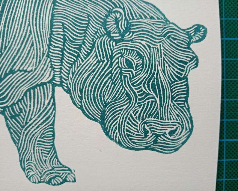linocut HIPPOPOTAMUS original art print, savannah animals, nature artwork, limited edition, zoological illustration, hand carved and printed image 2