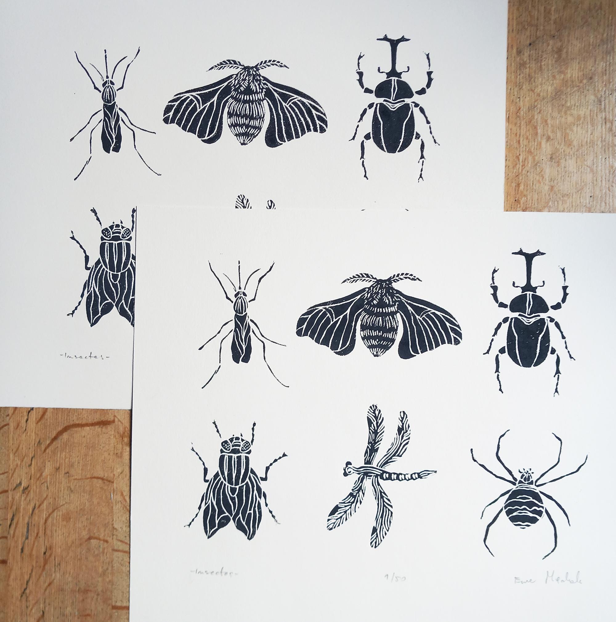 Insect Linocut Linocut Insects, Original Art Print, Natural Home Decor, Nature Art ...
