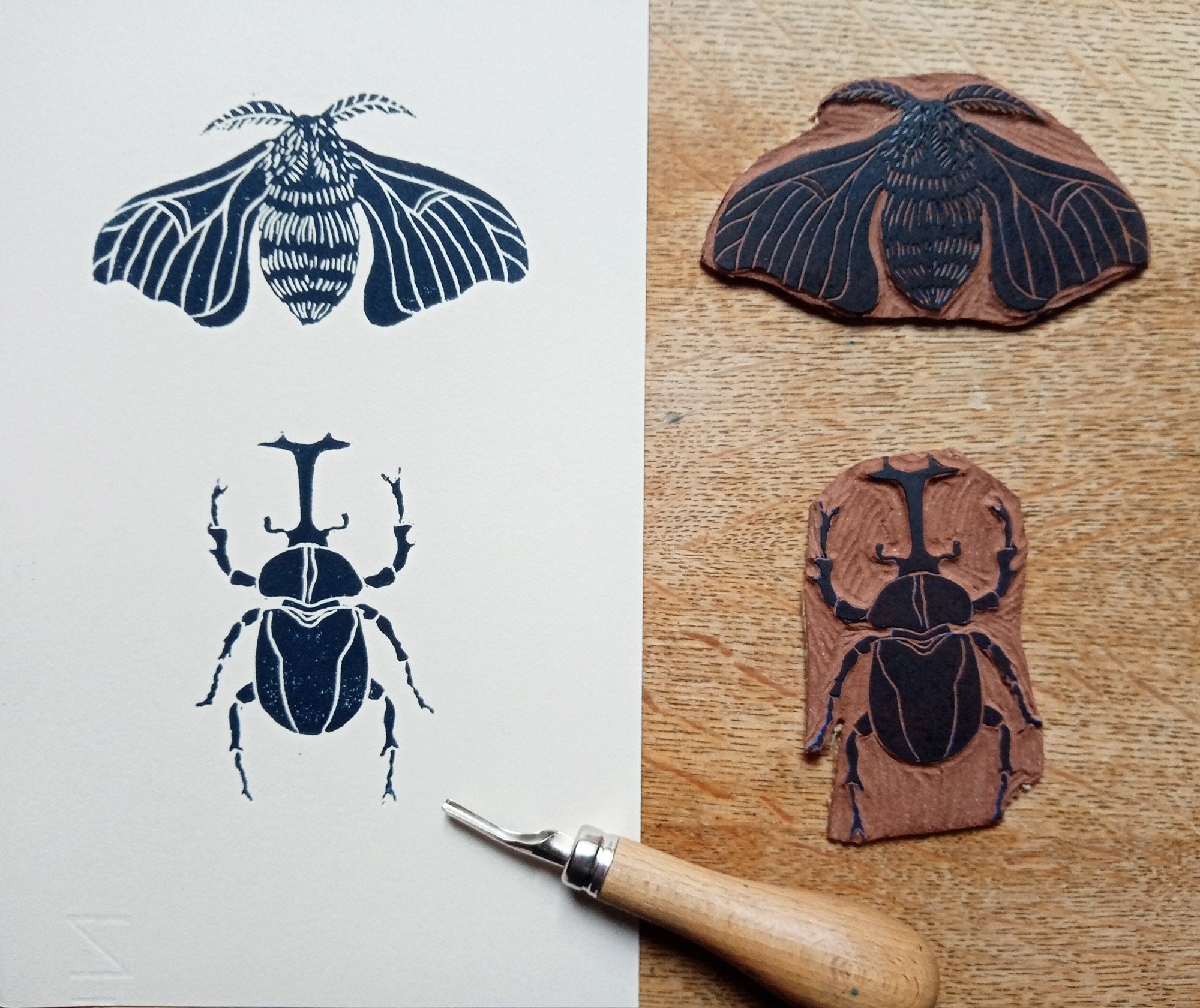 Insect Linocut Linocut Insects - Original Art Print, Cabinet of Curiosities ...