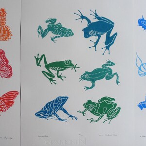 linocut Butterflies, original art print, engraved and hand printed, Insect illustration, nature art, garden artwork image 10