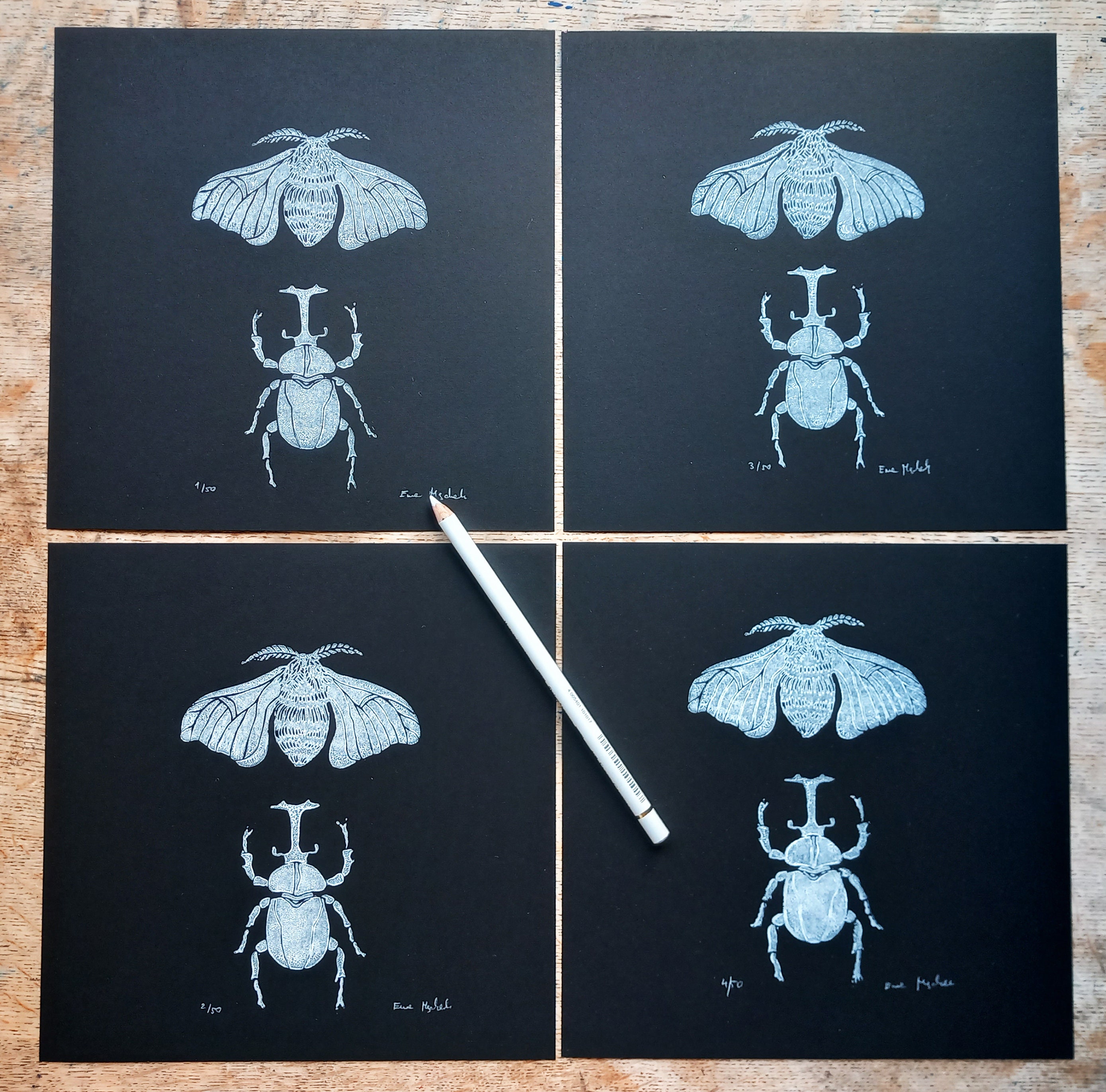 Insect Linocut Linocut Insects - Original Art Print, Cabinet of Curiosities ...