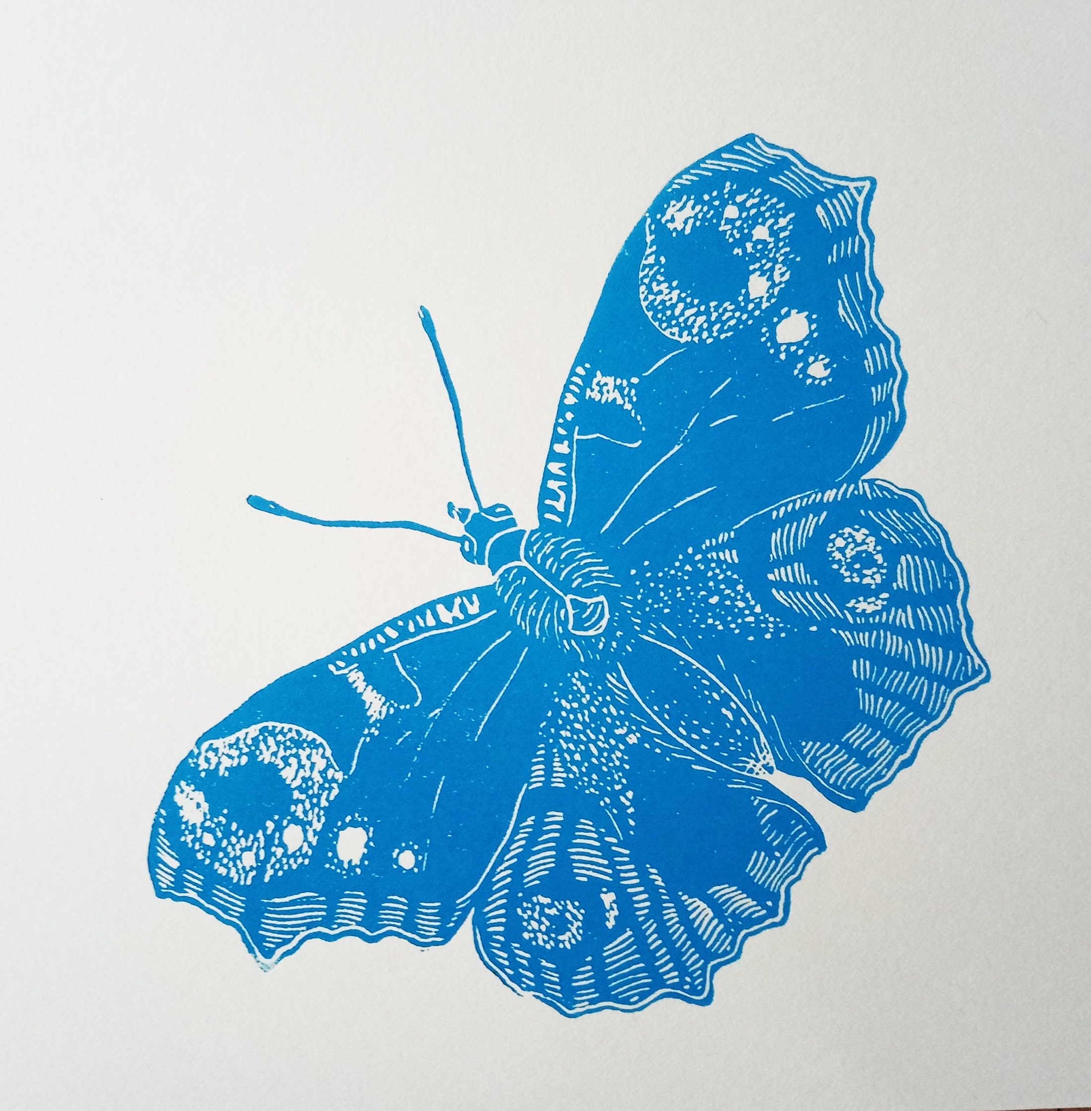 Butterfly linocut original art print wall art engraving Etsy