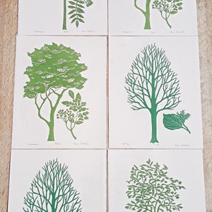 linocut Elderberry original art print, forest trees, botanical illustration,hand carved and printed, nature art, limited edition artwork image 10