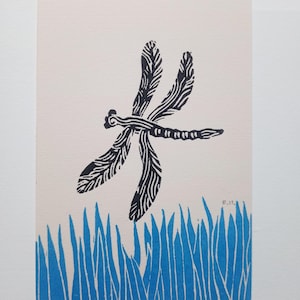 Linogravure Libellule, impression d'art originale, cabinet de curiosités, insecte, gravé et imprimé à la main, estampe nature
