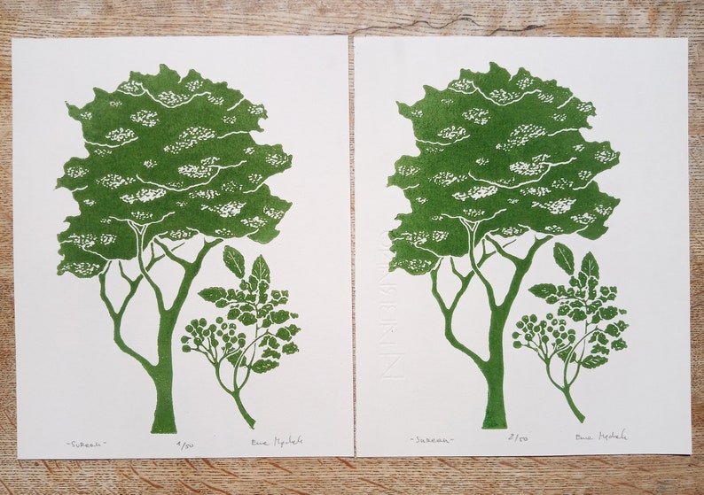 linocut Elderberry original art print, forest trees, botanical illustration,hand carved and printed, nature art, limited edition artwork image 2